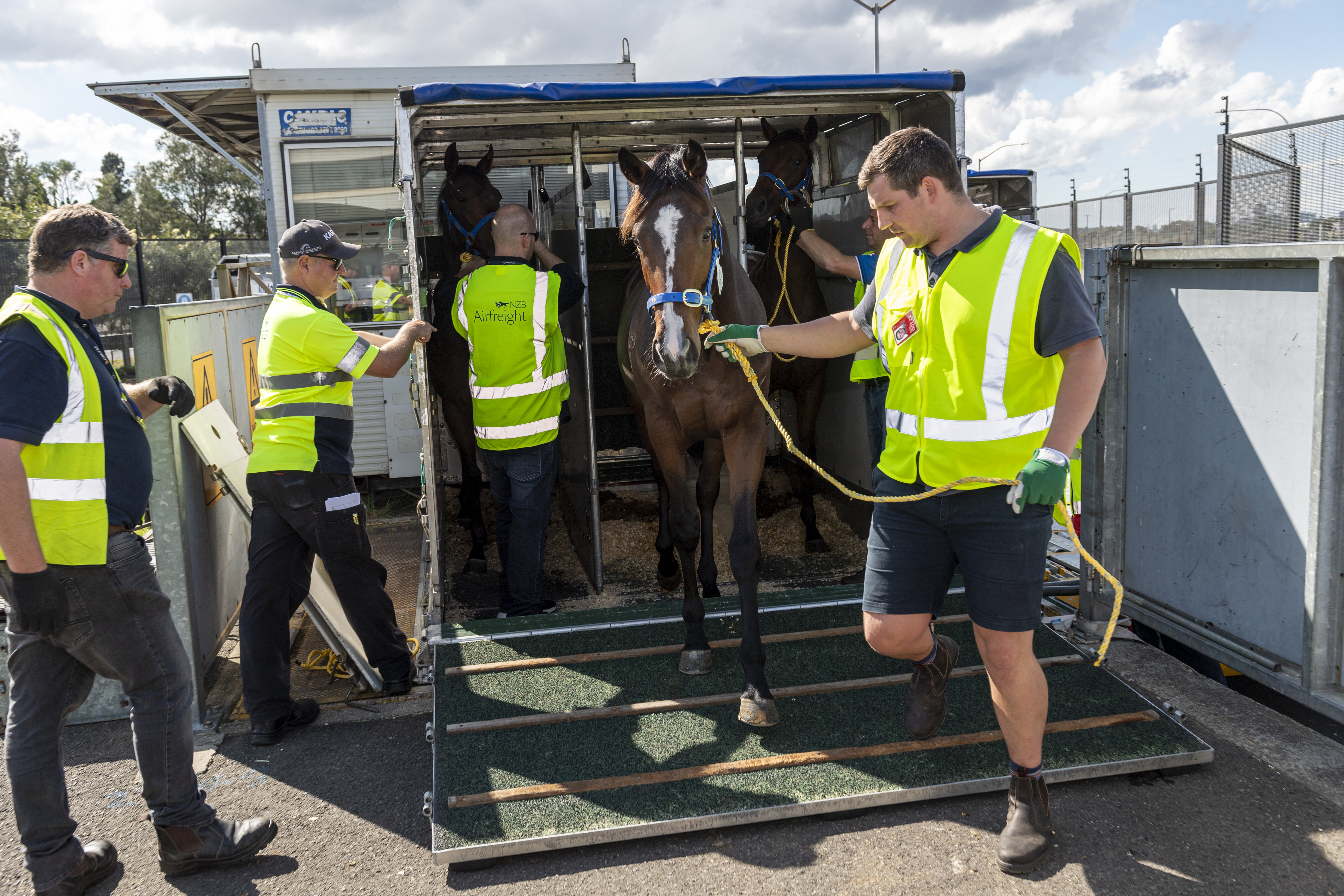 NZB Airfreight